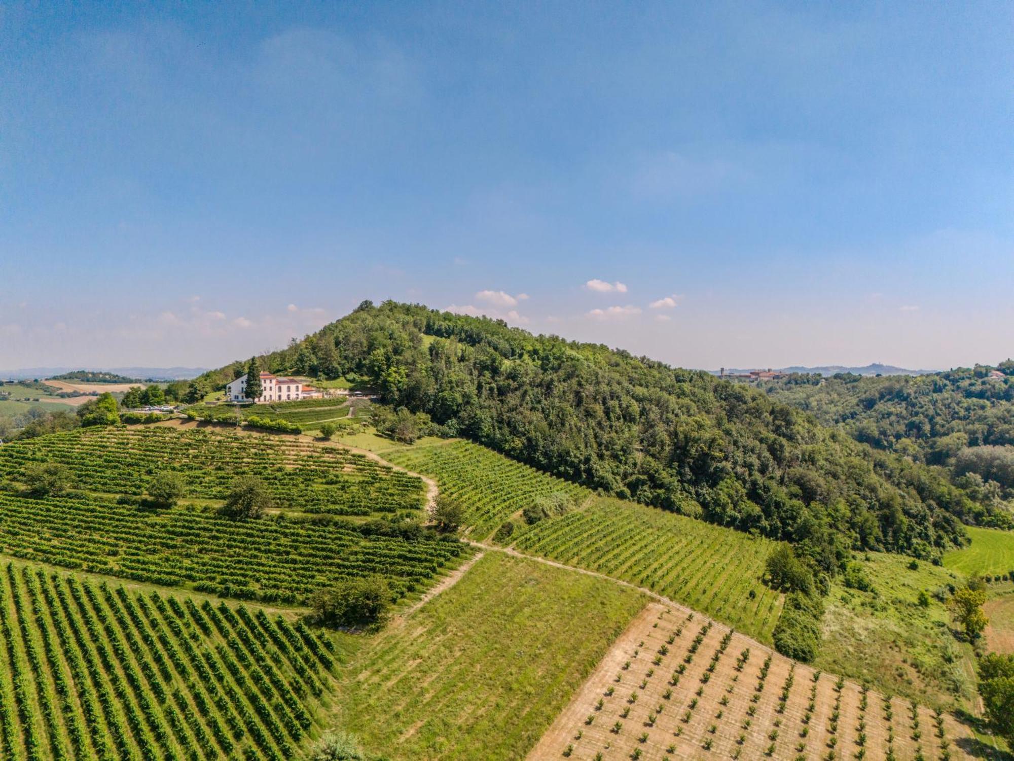 Villa Rocco Country House Ozzano Monferrato Eksteriør billede